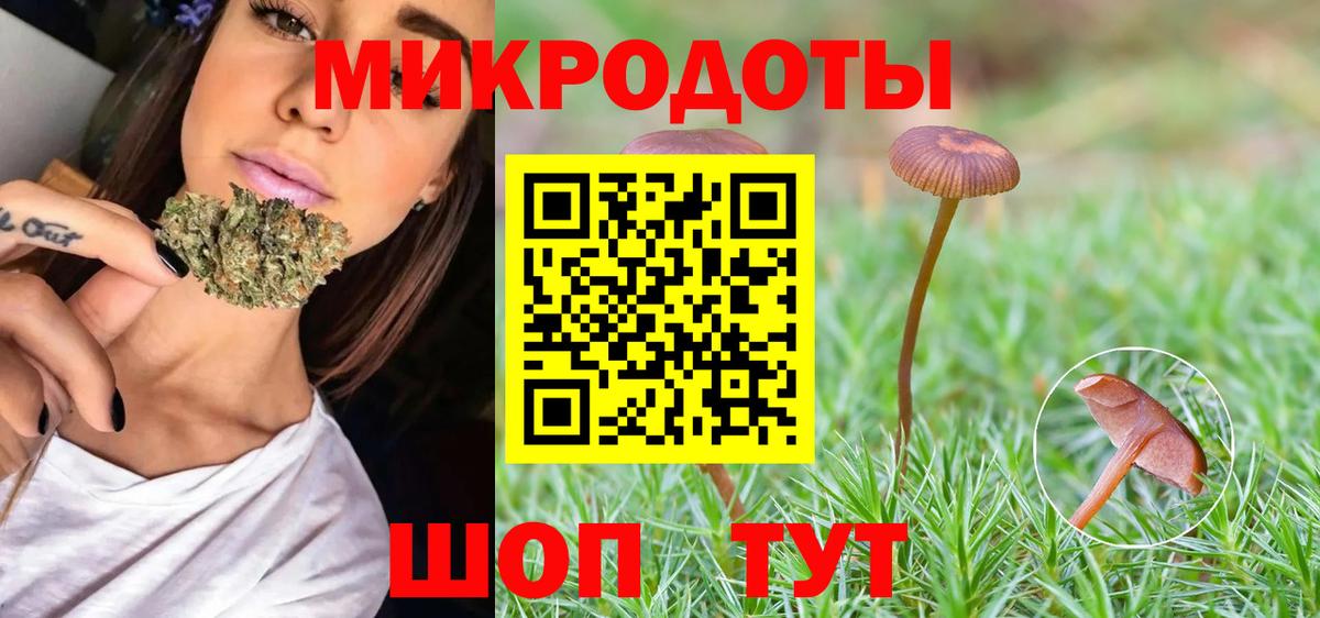 Галлюциногенные грибы MAGIC MUSHROOMS  Вход с VPN  Лосино-Петровский 