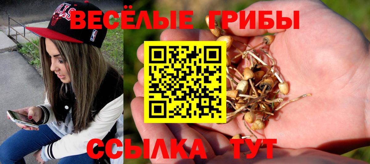 Галлюциногенные грибы мухоморы Лосино-Петровский
